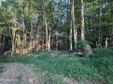 150 Timber Oaks Lane - Photo 11