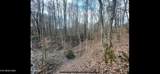 150 Timber Oaks Lane - Photo 15