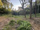 150 Timber Oaks Lane - Photo 3
