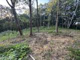 150 Timber Oaks Lane - Photo 4