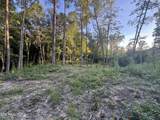 150 Timber Oaks Lane - Photo 9
