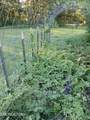 243 Rankin Rd - Photo 4