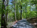  Cosby Hwy - Photo 5