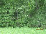 114 Acres State Hwy 33 - Photo 41