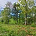 Lot 92R Majestic Circle - Photo 5