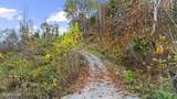 703 Knob Creek Rd - Photo 8