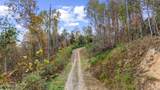 703 Knob Creek Rd - Photo 9