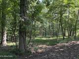 371 Walking Horse Tr - Photo 1