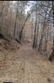  Carrs Creek Rd - Photo 8