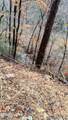  Carrs Creek Rd - Photo 9