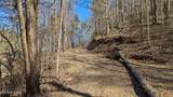  Carrs Creek   14 Acres Rd - Photo 16