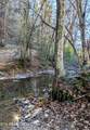  Carrs Creek   14 Acres Rd - Photo 18