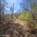 0 Lick Creek Rd - Photo 2