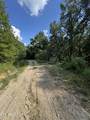  Cole Hollow Rd - Photo 13