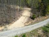  Cole Hollow Rd - Photo 19