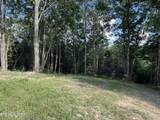  Cole Hollow Rd - Photo 8