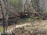 255 & 329 Copperhead Rd - Photo 3
