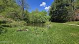  Dooley Hollow Rd - Photo 6