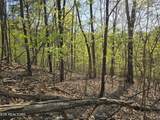 29+ACRES Boatmans Mountain - Photo 25