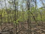 29+ACRES Boatmans Mountain - Photo 26