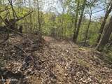 29+ACRES Boatmans Mountain - Photo 31