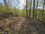 29+ACRES Boatmans Mountain - Photo 32