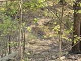 29+ACRES Boatmans Mountain - Photo 34