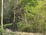 29+ACRES Boatmans Mountain - Photo 35