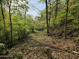 29+ACRES Boatmans Mountain - Photo 36