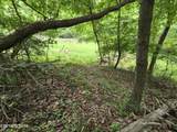 29+ACRES Boatmans Mountain - Photo 37
