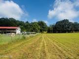 Tract 1 Mill Creek Rd - Photo 10