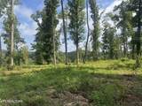 Tract 1 Mill Creek Rd - Photo 17