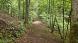 2537 Waldens Creek Rd - Photo 42