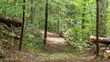2537 Waldens Creek Rd - Photo 44