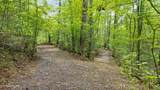 2537 Waldens Creek Rd - Photo 45