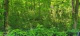  Unicoi Church Rd - Photo 4
