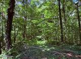  Bates Gibson Rd - Photo 1