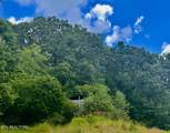  Tbd Clinch River Rd - Photo 3