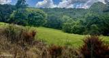  Tbd Clinch River Rd - Photo 4