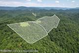  Tbd Clinch River Rd - Photo 5