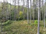  Long Branch Rd Off Rd - Photo 10