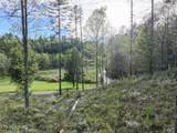  Long Branch Rd Off Rd - Photo 11