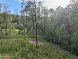  Long Branch Rd Off Rd - Photo 13
