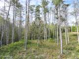  Long Branch Rd Off Rd - Photo 7