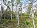  Long Branch Rd Off Rd - Photo 8