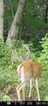 100 Knot Hole Rd - Photo 1