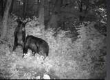 100 Knot Hole Rd - Photo 2