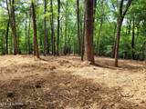  Lot 146 & 147 Lakeview Drive - Photo 6