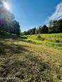 Lot 207 Clyde Ed Rd - Photo 10