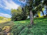 Lot 207 Clyde Ed Rd - Photo 12
